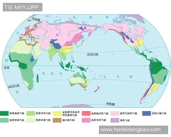 巴内切亚与瓦尔迪对决胜负分析及预测展望